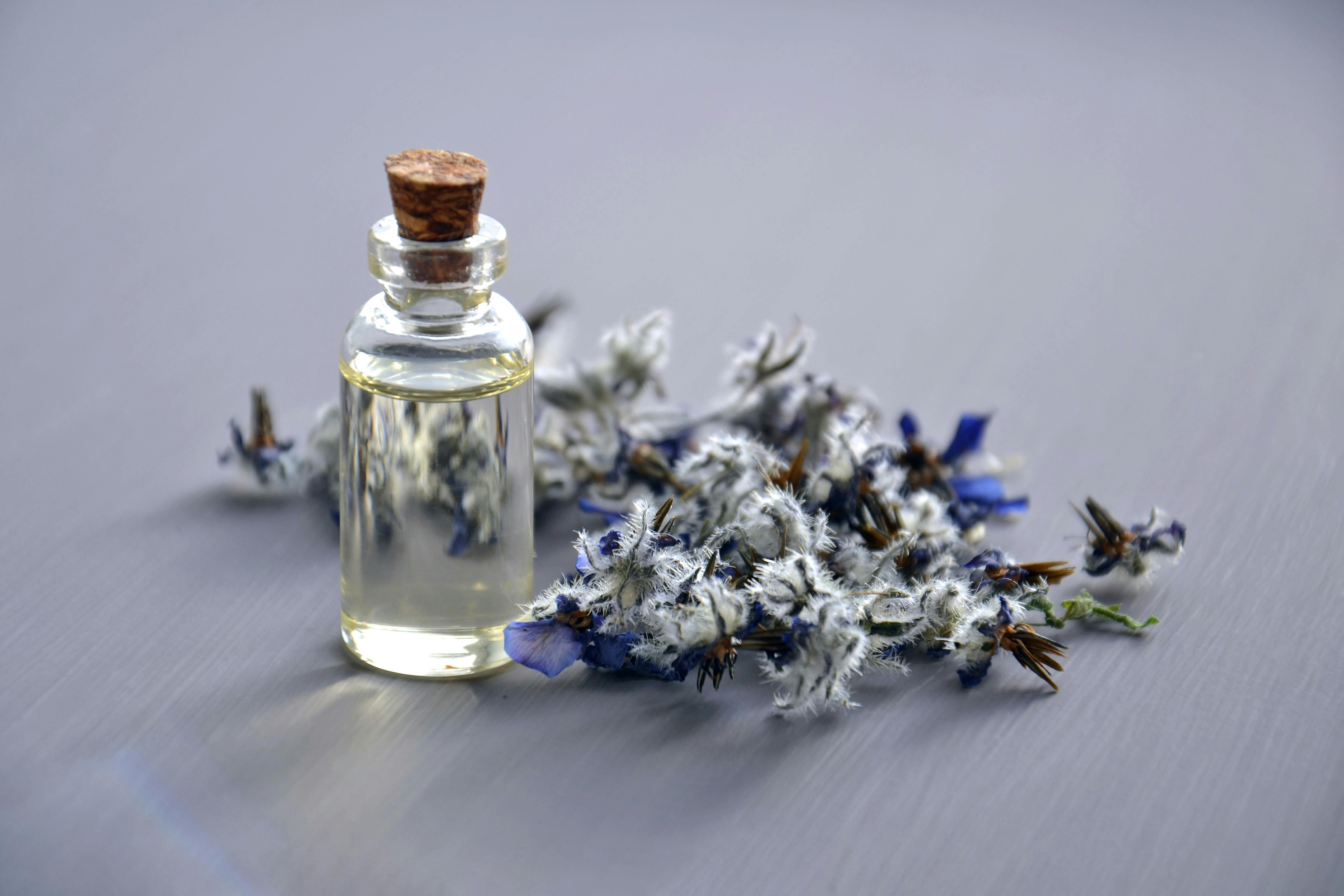 Nature’s Cure — plant-based medicines